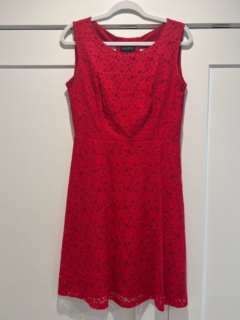 Enfocus Studio Red Lace Sleeveless Fit-and-Flare Mini Dress